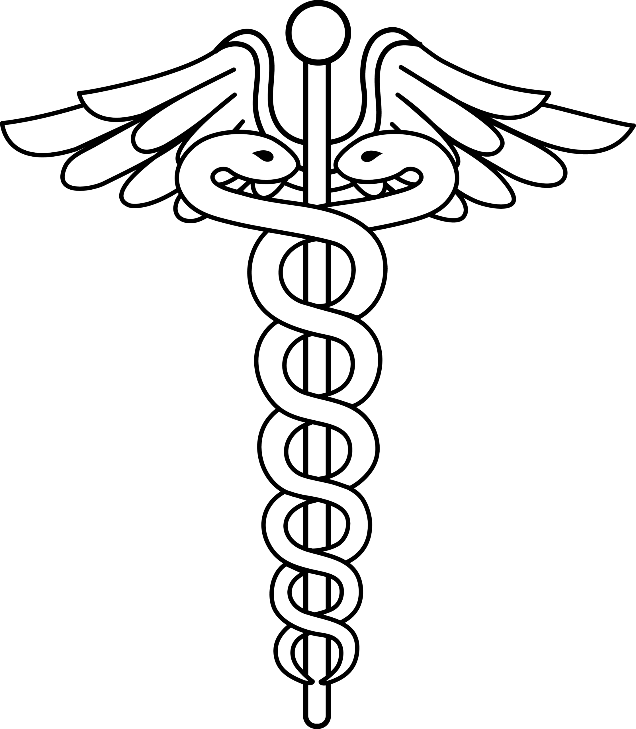 AJMS Logo